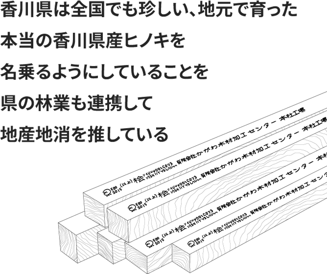 地域に根差した家づくり