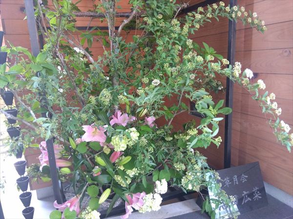 高松店のお花