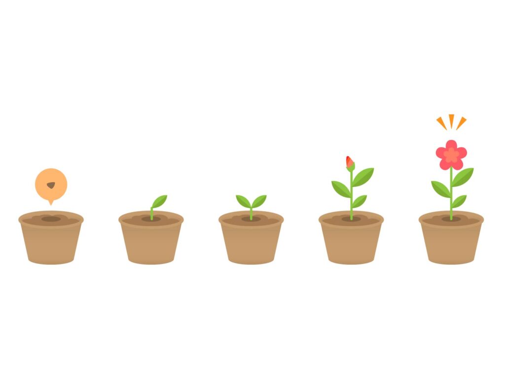 気がつけば成長