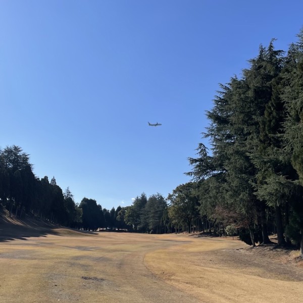 ゴルフレッスン